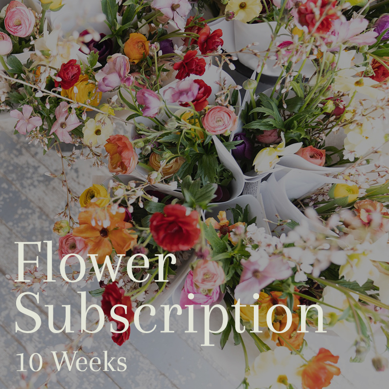 10 Week Flower Subscription