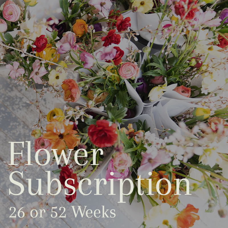26 or 52 Week Subscription