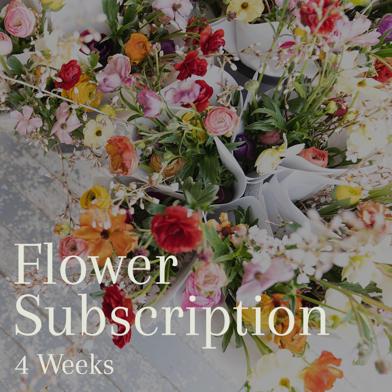 4 Week Flower Subscription